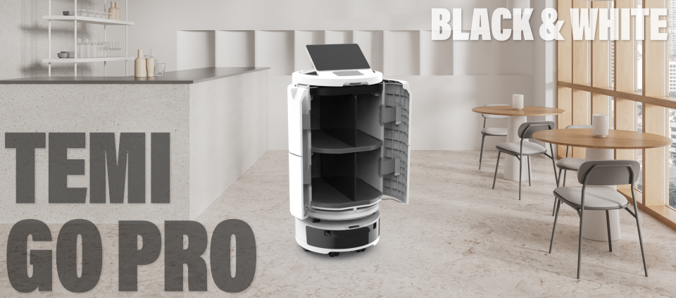 Temi Go PRO